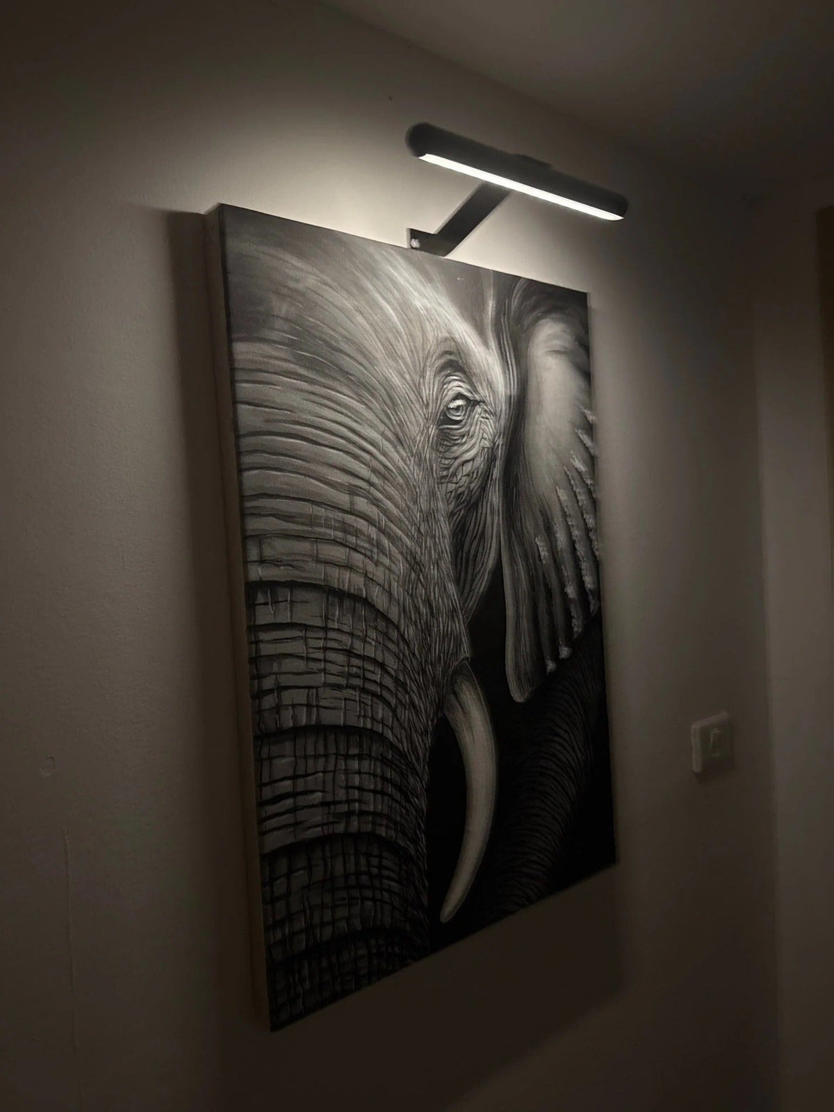 Wireless LED Picture Light Rechargeable 360° Adjustable Art Frame Wall Lamp Gallery Display Light
